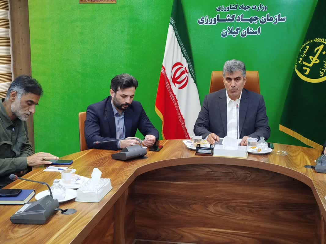 رئیس سازمان جهاد کشاورزی استان مطرح کرد: ۳ همت پروژه سرمایه گذاری کشاورزی گیلان در انتظار تسهیلات